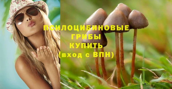 мяу мяу мука Алзамай