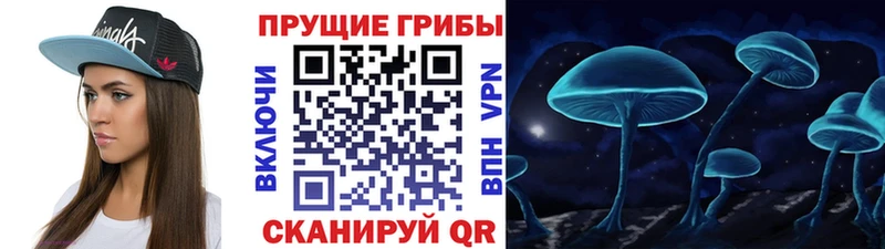купить  цена  Байкальск  Галлюциногенные грибы мицелий 